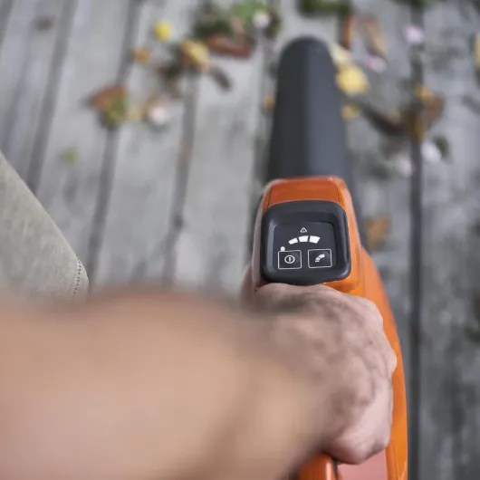 61UrQetbO5L._AC_SL1500_