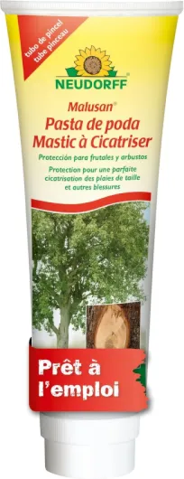 Malusan Mastic à Cicatriser 275 ML - Protection des plaies de Taille et blessures sur Arbres fruitiers, vignes et Arbres d’Ornement - Tube prêt à l'emploi avec Pinceau