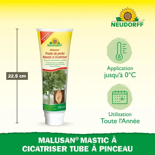 810wGX67HHL._AC_SL1500_