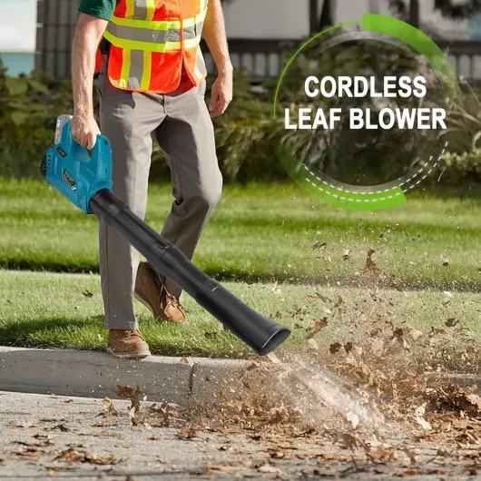 81ykP5YmfGL._AC_SL1500_