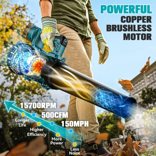 81mUq5wJ1kL._AC_SL1500_