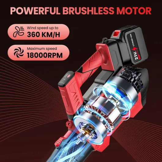 81dfmRbRwUL._AC_SL1500_