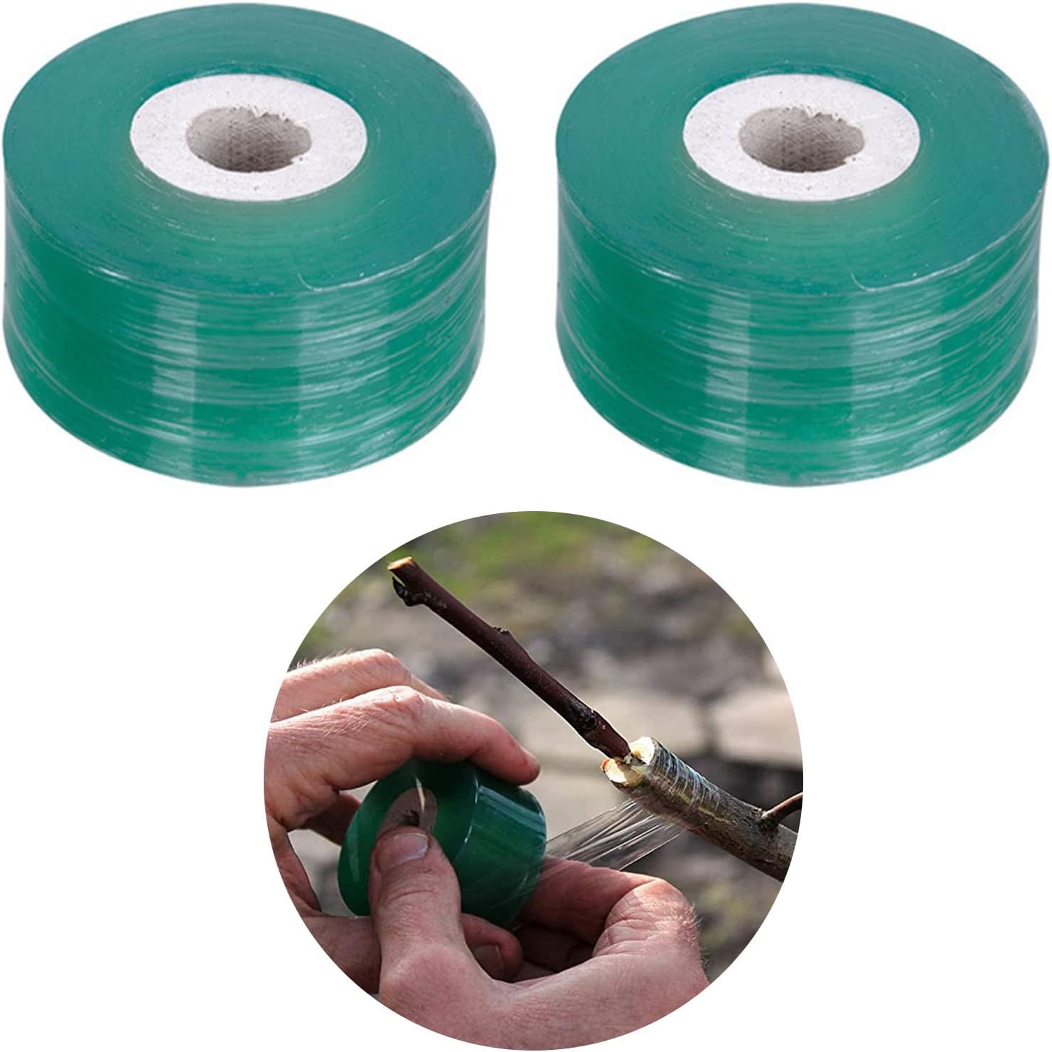 Ruban Greffage Transparent, Greffage Ruban, Ruban de Pépinière, Ruban à Greffer, Convient aux Plantes, Fleurs, Arbres Fruitiers, Greffage de Tomates, 2 Pièces, 2cm