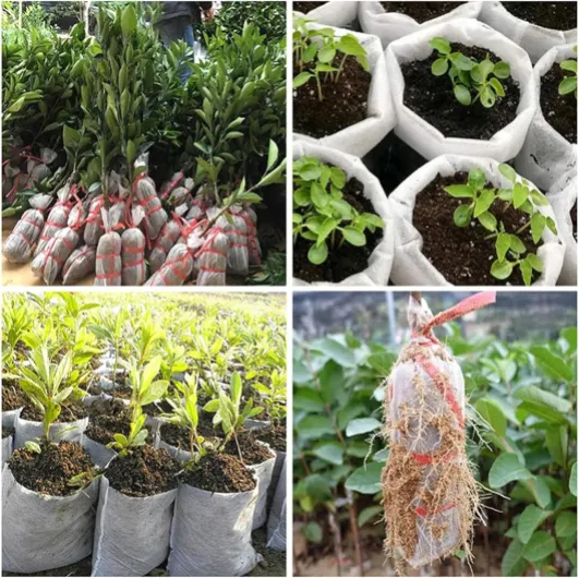 91B0He9ok5L._AC_SL1500_