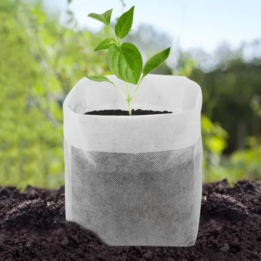 81q5CYoCM9L._AC_SL1500_