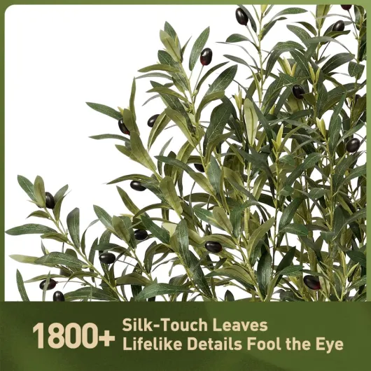 71nI8dsFSzL._AC_SL1001_