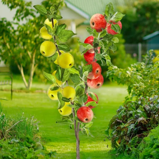 811P-adJaqL._AC_SL1500_