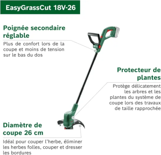 713553mc3QL._AC_SL1500_