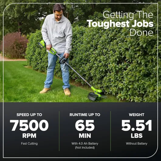 91ZqSZ pMhL._AC_SL1500_