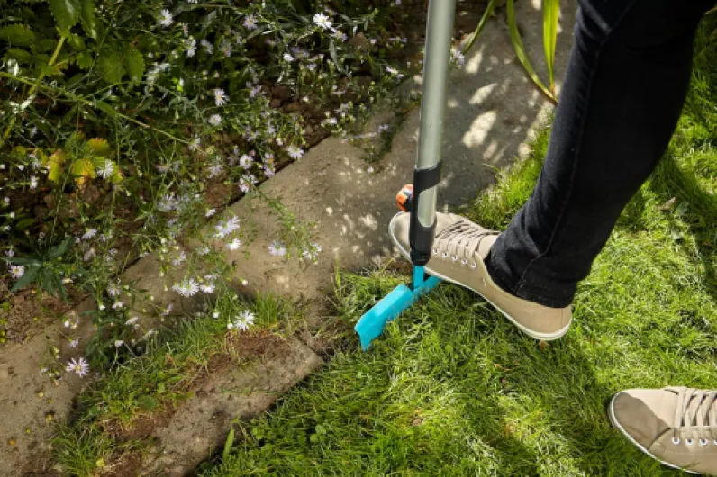 91YnuJnOZeL._AC_SL1500_