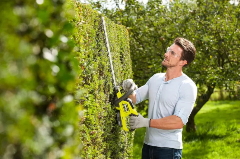 91EAo5XgiSL._AC_SL1500_