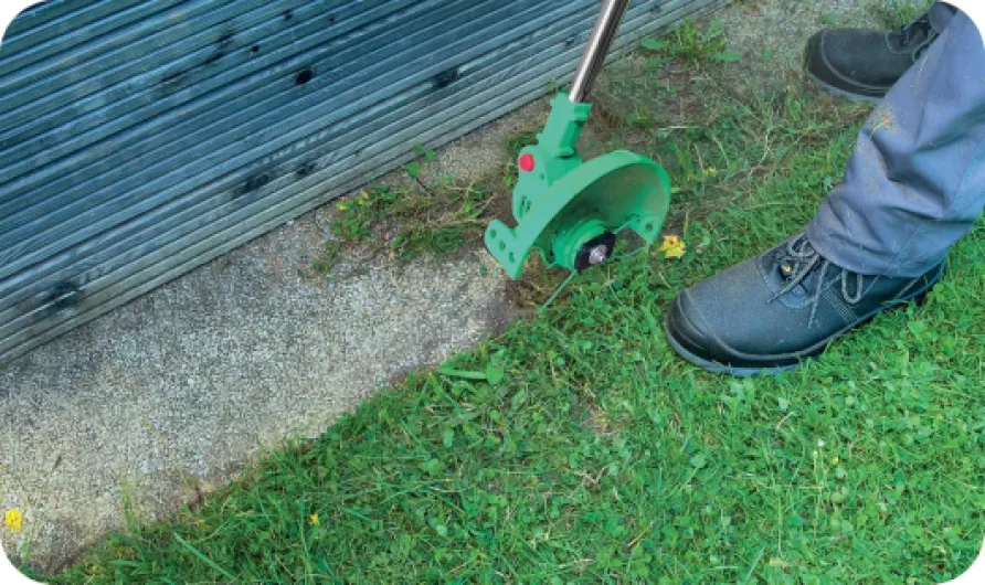 913TU-jSdqL._AC_SL1500_