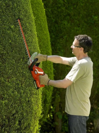 81olP8BRucL._AC_SL1500_