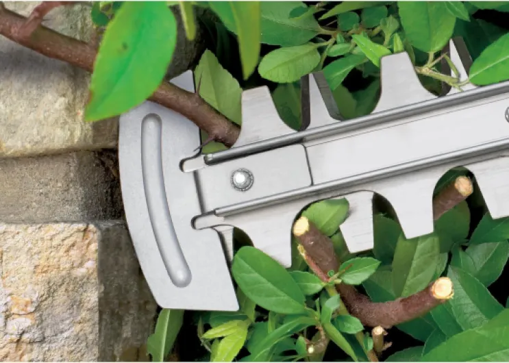 81Wlu9A30OL._AC_SL1500_