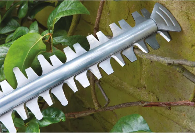 81G6kYStBCL._AC_SL1500_