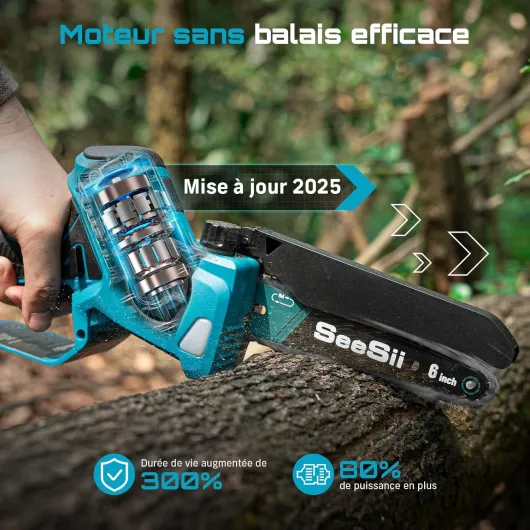 81yri-vhTUL._AC_SL1500_