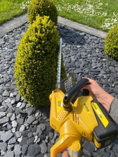 71Veo3w2uTL._AC_SL1280_