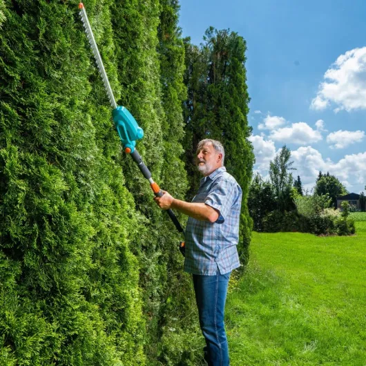 81gApb-EdxL._AC_SL1000_