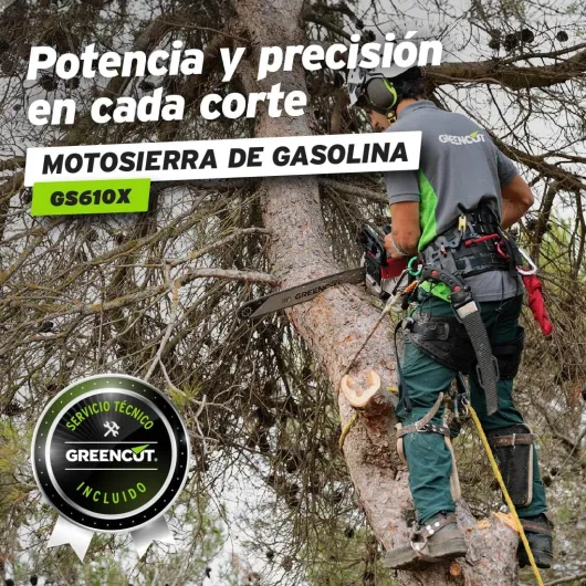 81n3DLz a7L._AC_SL1100_