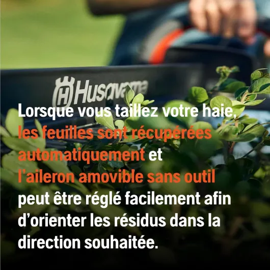 71uHZj3UvUL._AC_SL1500_