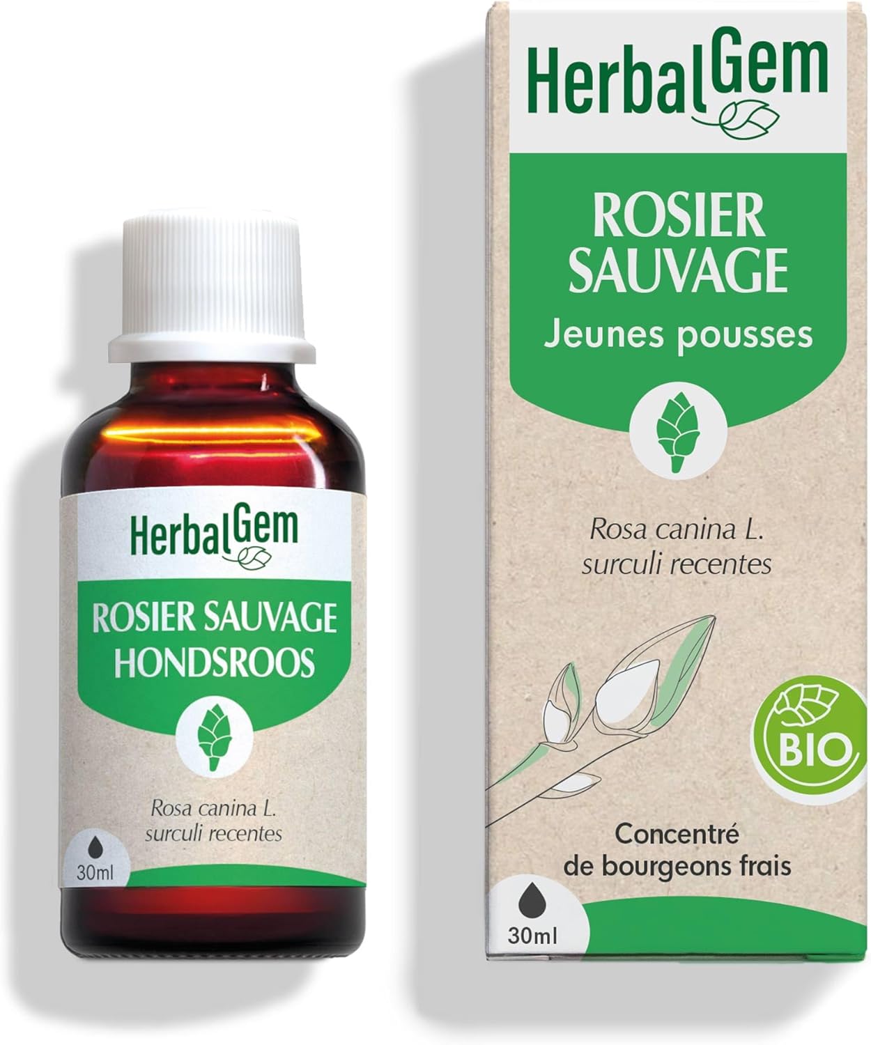 Macérât-Mère - Rosier Sauvage Bio - Complément Alimentaire Gemmothérapie Concentrée - Extrait De Bourgeon Frais - Pour Défenses Naturelles - Vegan - 30 ml