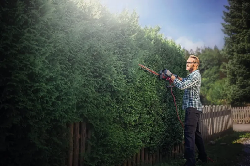 71i6gsVYNfL._AC_SL1500_