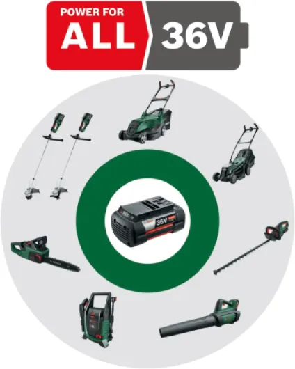 61RazafdgdL._AC_SL1500_