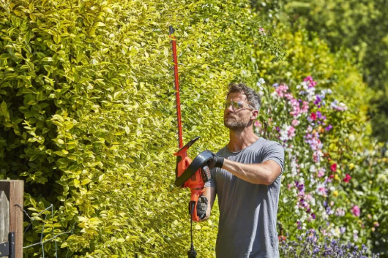 91-E7o qtaL._AC_SL1500_