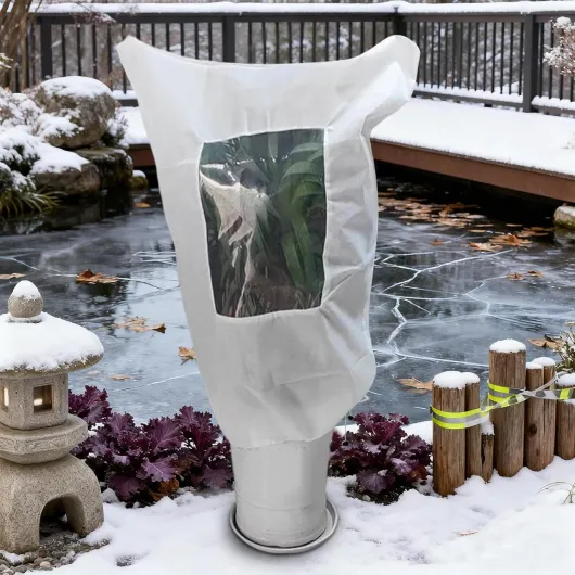 81Jbtufg-vL._AC_SL1500_