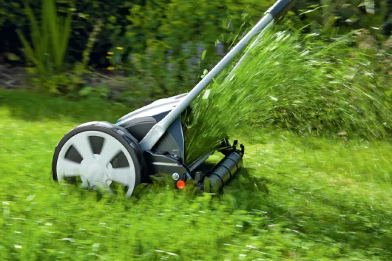 81xL-yJdgOL._AC_SL1500_