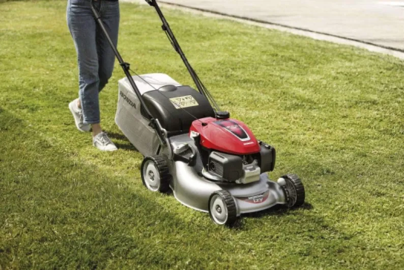 71XsqfgbDSL._AC_SL1024_