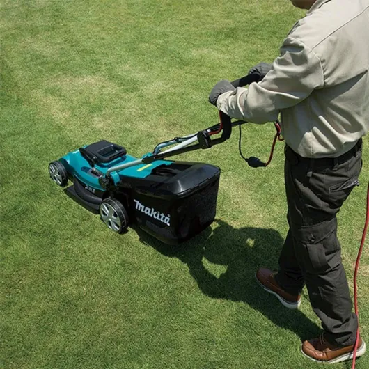 71Y3enuTw4L._AC_SL1000_