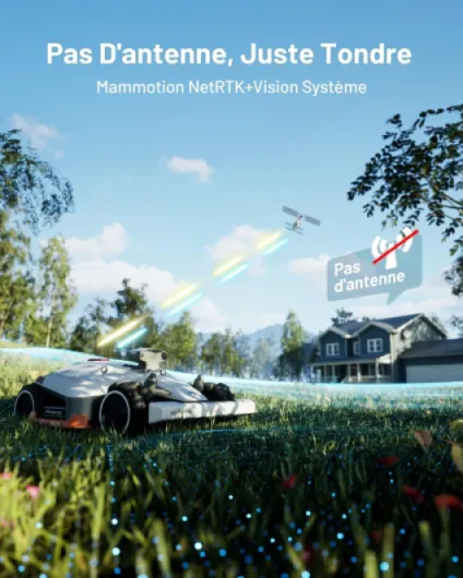 81xfiH40YuL._AC_SL1500_