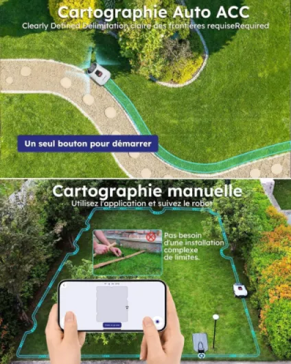 81Kx2zlUXHL._AC_SL1500_