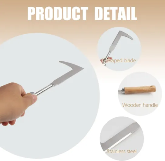 61aCaCJdQ0L._AC_SL1500_