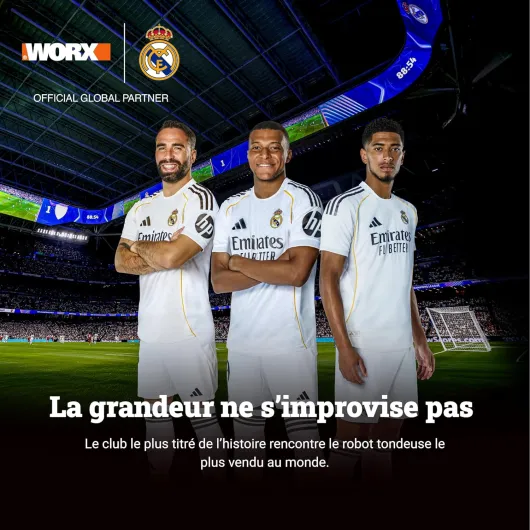 81S5B5CBJLL._AC_SL1500_