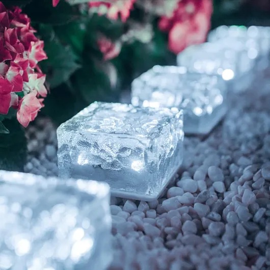 71FZou BcVL._AC_SL1500_