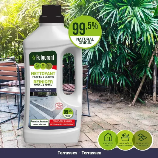 81rflTmkEQL._AC_SL1468_