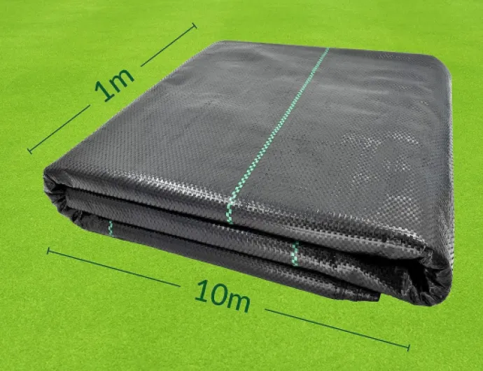 81m6X TfjbL._AC_SL1500_