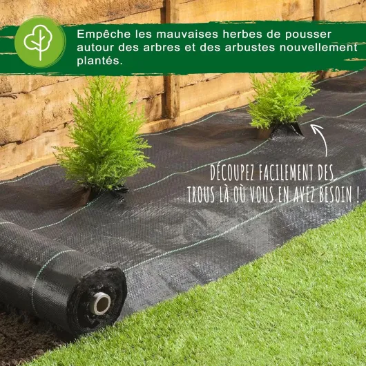 91Qg N1DyuL._AC_SL1500_