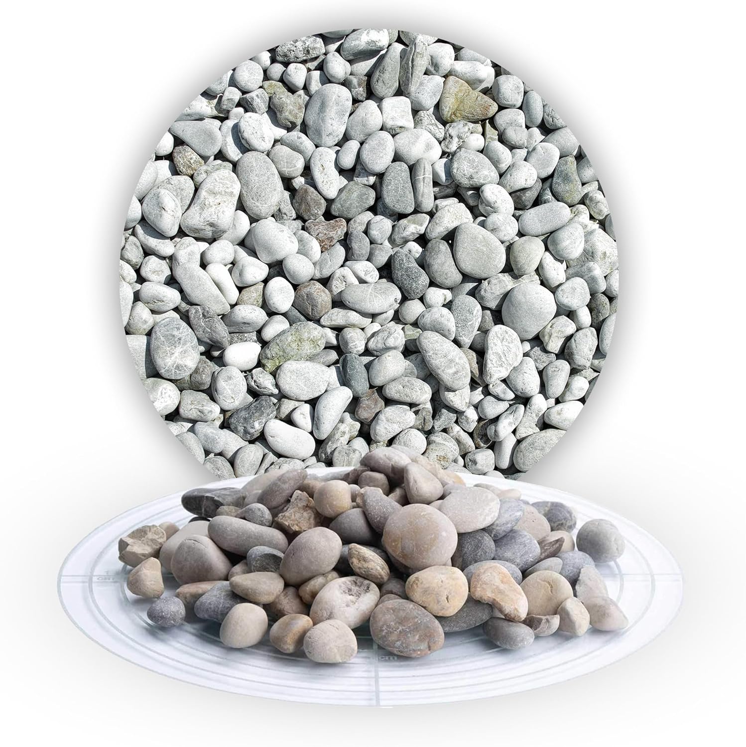 Best for Garden Pierres de Galets 25kg - Cailloux Jardin Exterieur 16 to 32 mm - Ecologiques Gravier Decorative pour Vase - Multicolore Galet pour Pot de Fleur, Plantes, Chemins et Plus 25.0 Kilogrammes