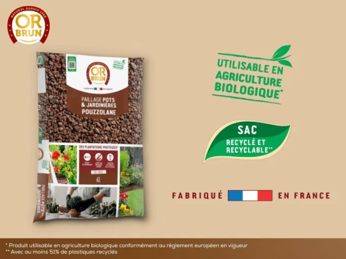 71tTSdzikvL._AC_SL1500_