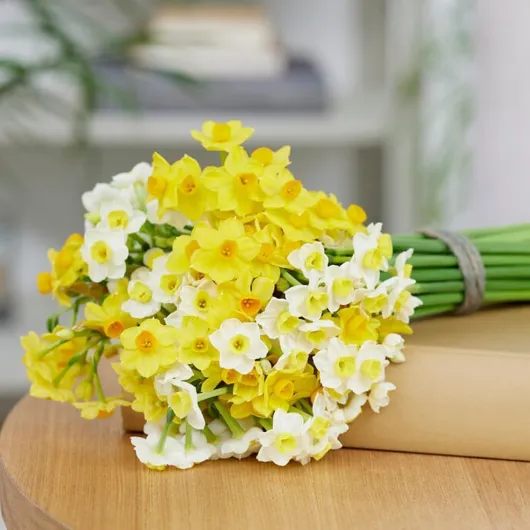 61CecEvGrBL._AC_SL1000_