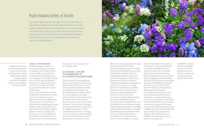 81M1q2zCO1L._SL1500_