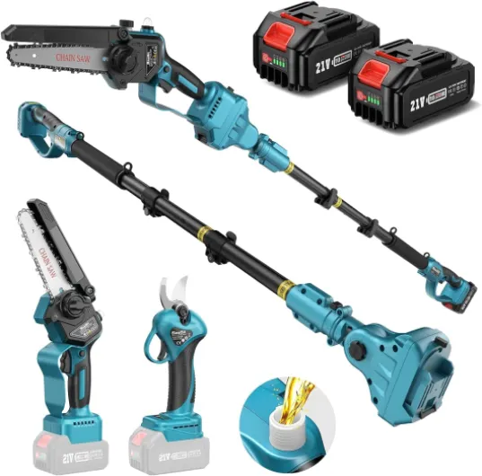 P6 Combo 6 Pouces Mini Tronconneuse avec Perche & 33 mm Secateur Electrique, 4-en-1 Ensemble d’Outils de Jardin avec 2 * 4000 mAh Batteries, Portée Maximale Jusqu’à 4,57 m 4-IN-1 6 pouces