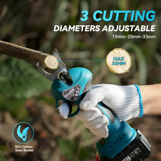 811rTq1gw L._AC_SL1500_