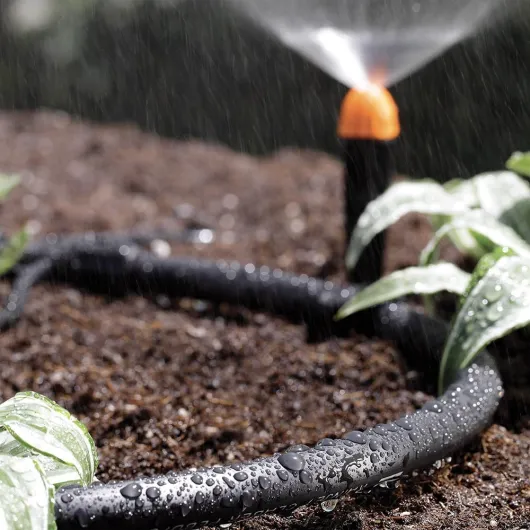 61BhMaUJxGL._AC_SL1000_