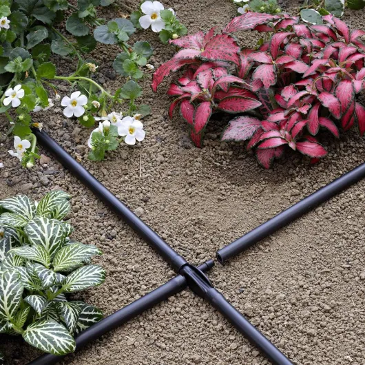 810Gb9S- fL._AC_SL1000_