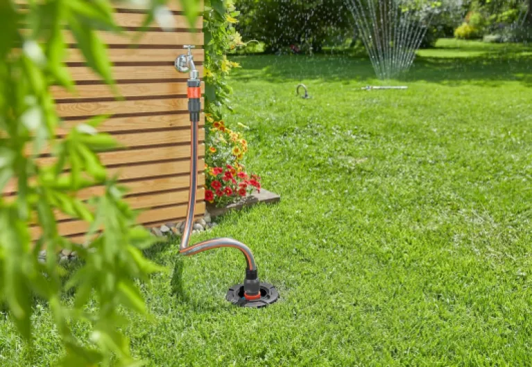 91nbDP4dqIL._AC_SL1500_