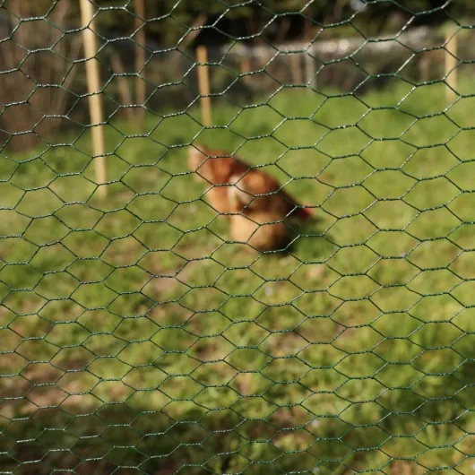 715KJu8ph3L._AC_SL1000_